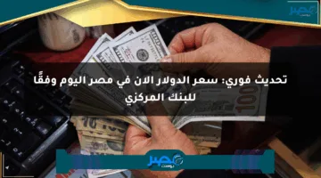 تحديث فوري: سعر الدولار الآن في مصر اليوم وفقًا للبنك المركزي